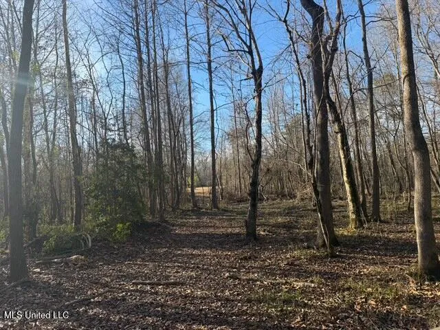 Raymond Road Jackson, MS 39212