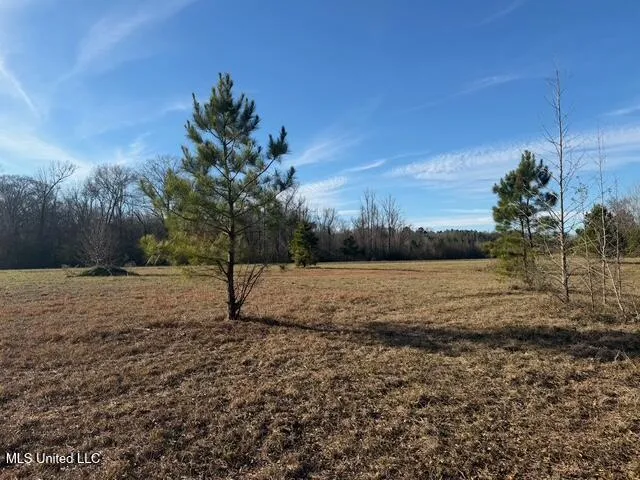 Raymond Road Jackson, MS 39212