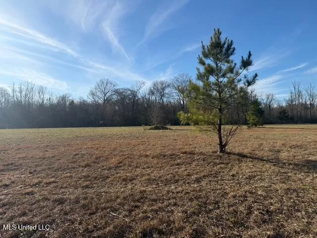 Raymond Road Jackson, MS 39212