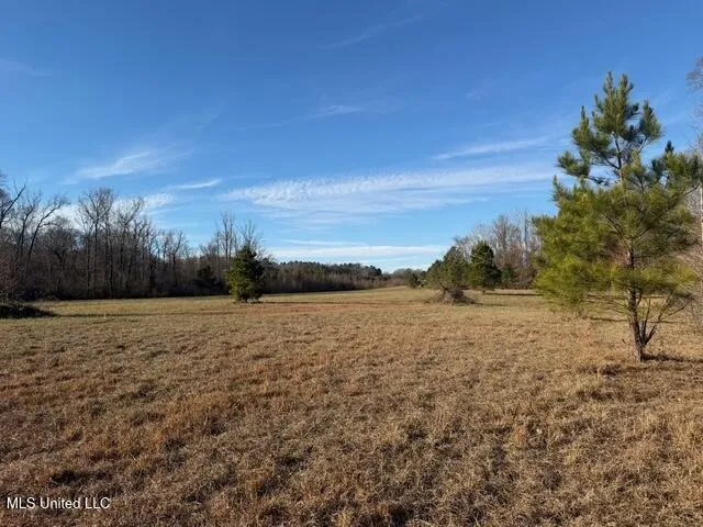 Raymond Road Jackson, MS 39212