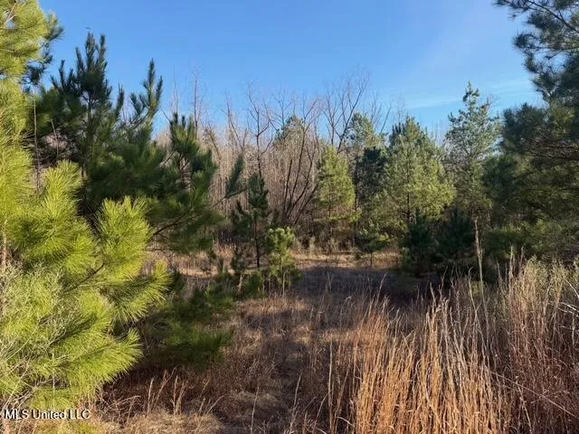 Raymond Road Jackson, MS 39212