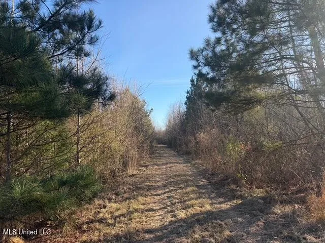 Raymond Road Jackson, MS 39212