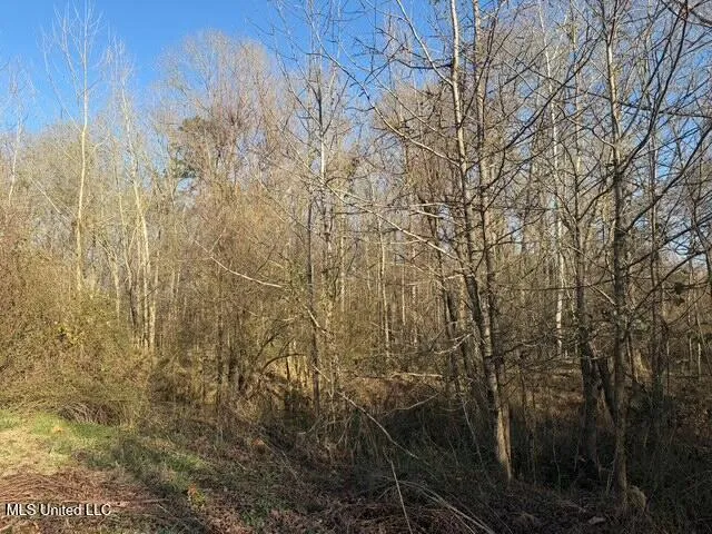 Raymond Road Jackson, MS 39212