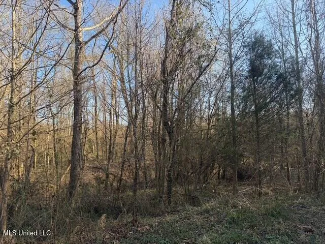Raymond Road Jackson, MS 39212