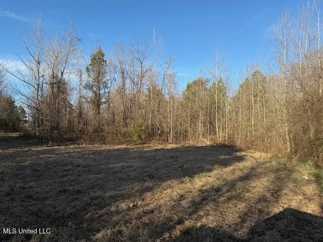 Raymond Road Jackson, MS 39212