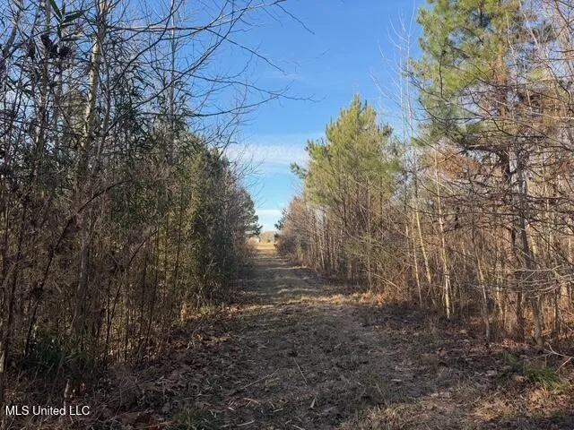 Raymond Road Jackson, MS 39212