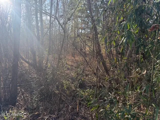 Raymond Road Jackson, MS 39212