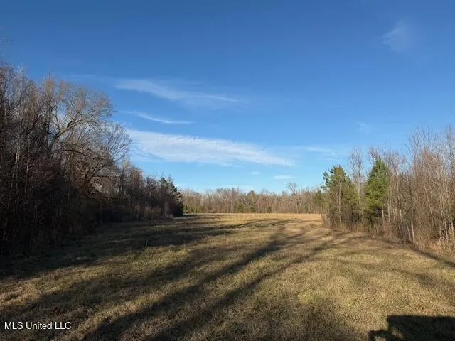 Raymond Road Jackson, MS 39212