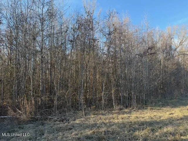 Raymond Road Jackson, MS 39212