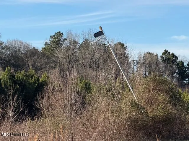 Raymond Road Jackson, MS 39212