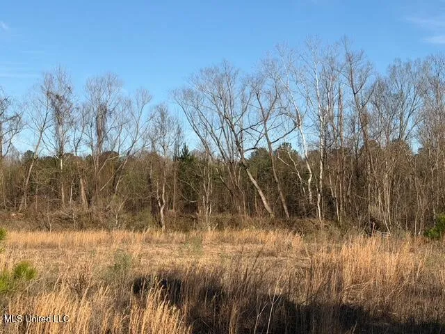 Raymond Road Jackson, MS 39212