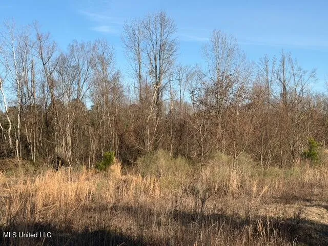 Raymond Road Jackson, MS 39212