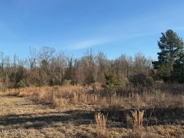 Raymond Road Jackson, MS 39212