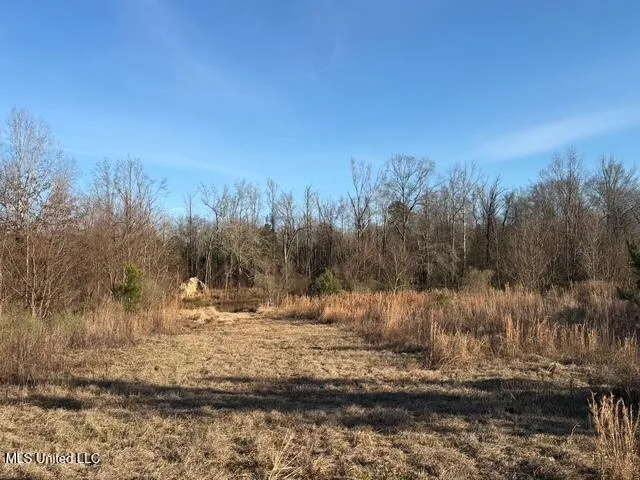 Raymond Road Jackson, MS 39212