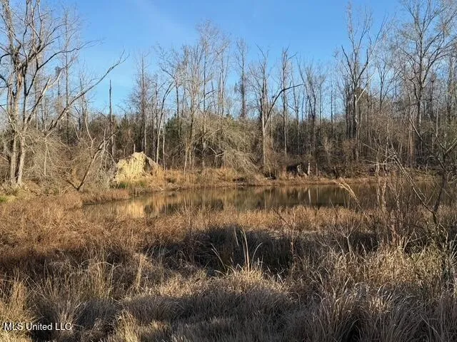 Raymond Road Jackson, MS 39212