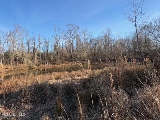 Raymond Road Jackson, MS 39212
