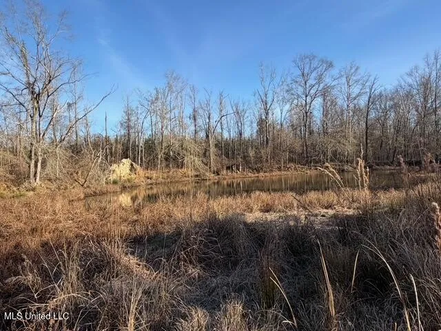 Raymond Road Jackson, MS 39212