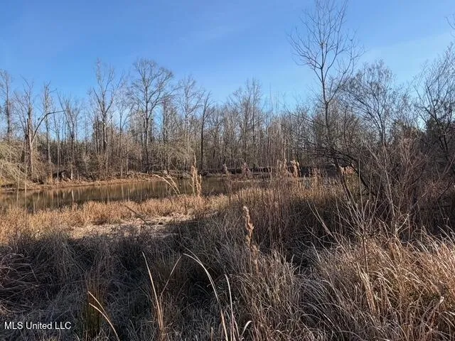 Raymond Road Jackson, MS 39212