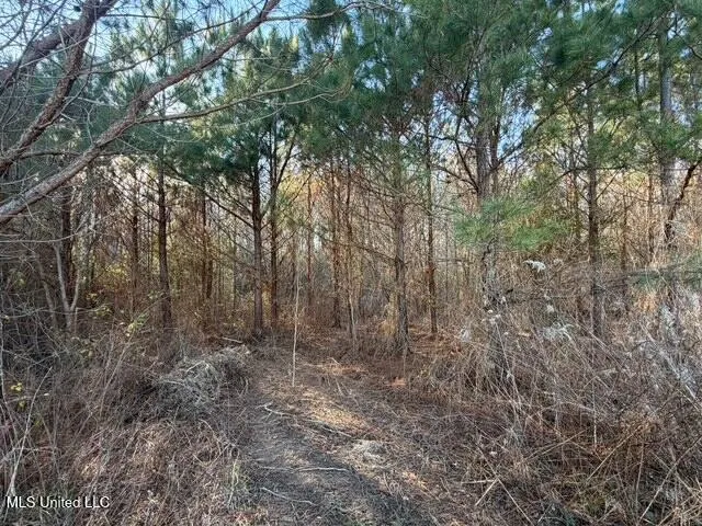 Raymond Road Jackson, MS 39212