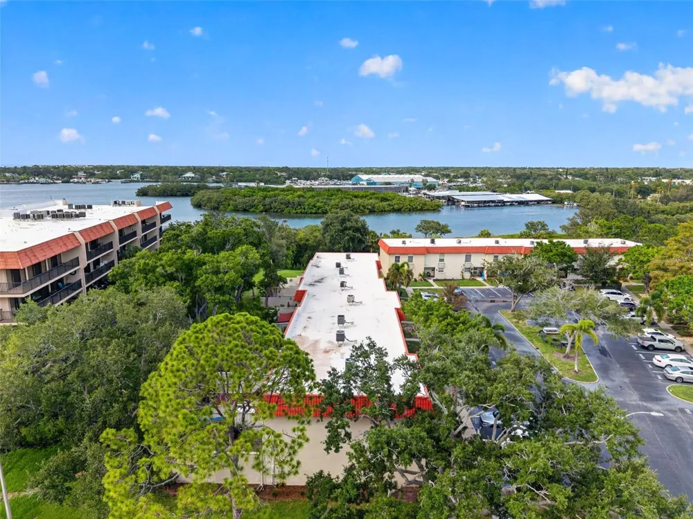 2700 BAYSHORE BOULEVARD #512 Dunedin, FL 34698
