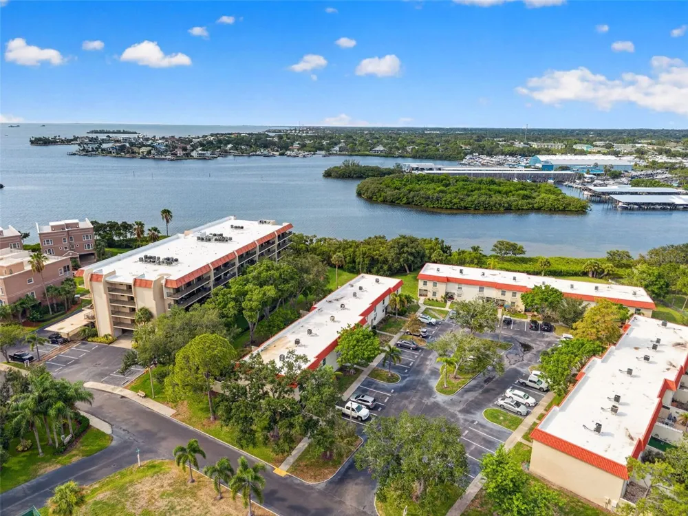 2700 BAYSHORE BOULEVARD #512 Dunedin, FL 34698