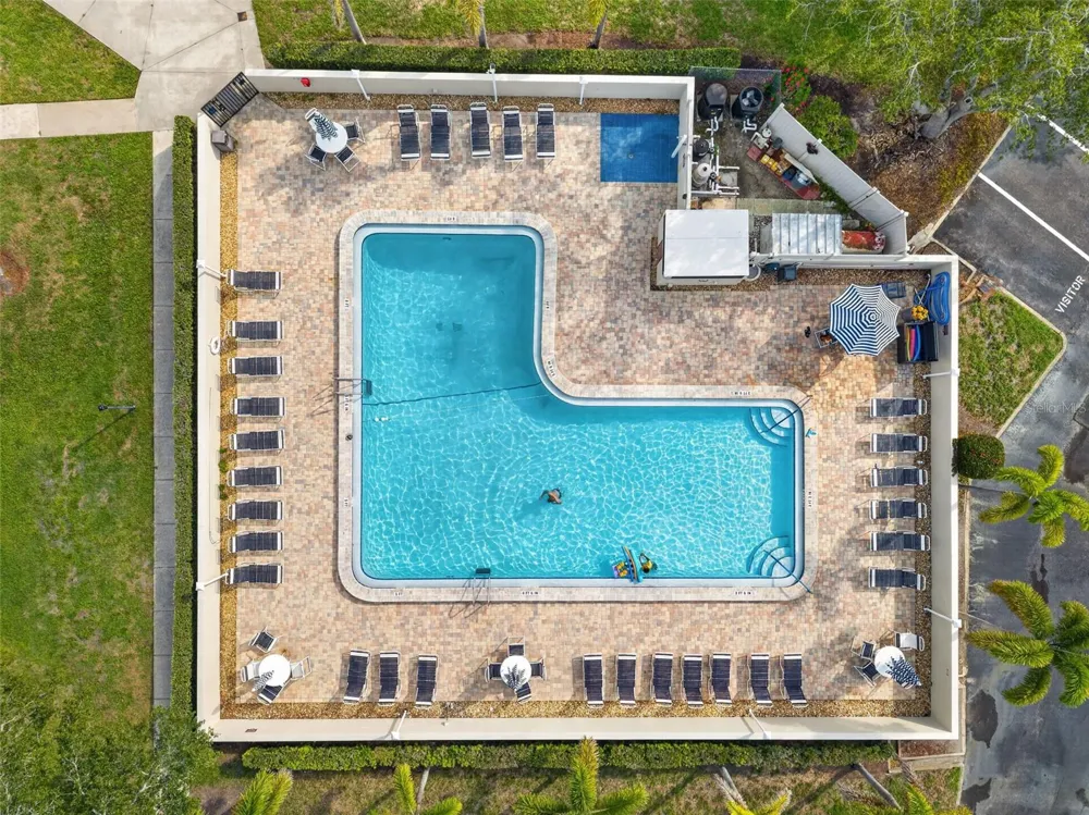 2700 BAYSHORE BOULEVARD #512 Dunedin, FL 34698