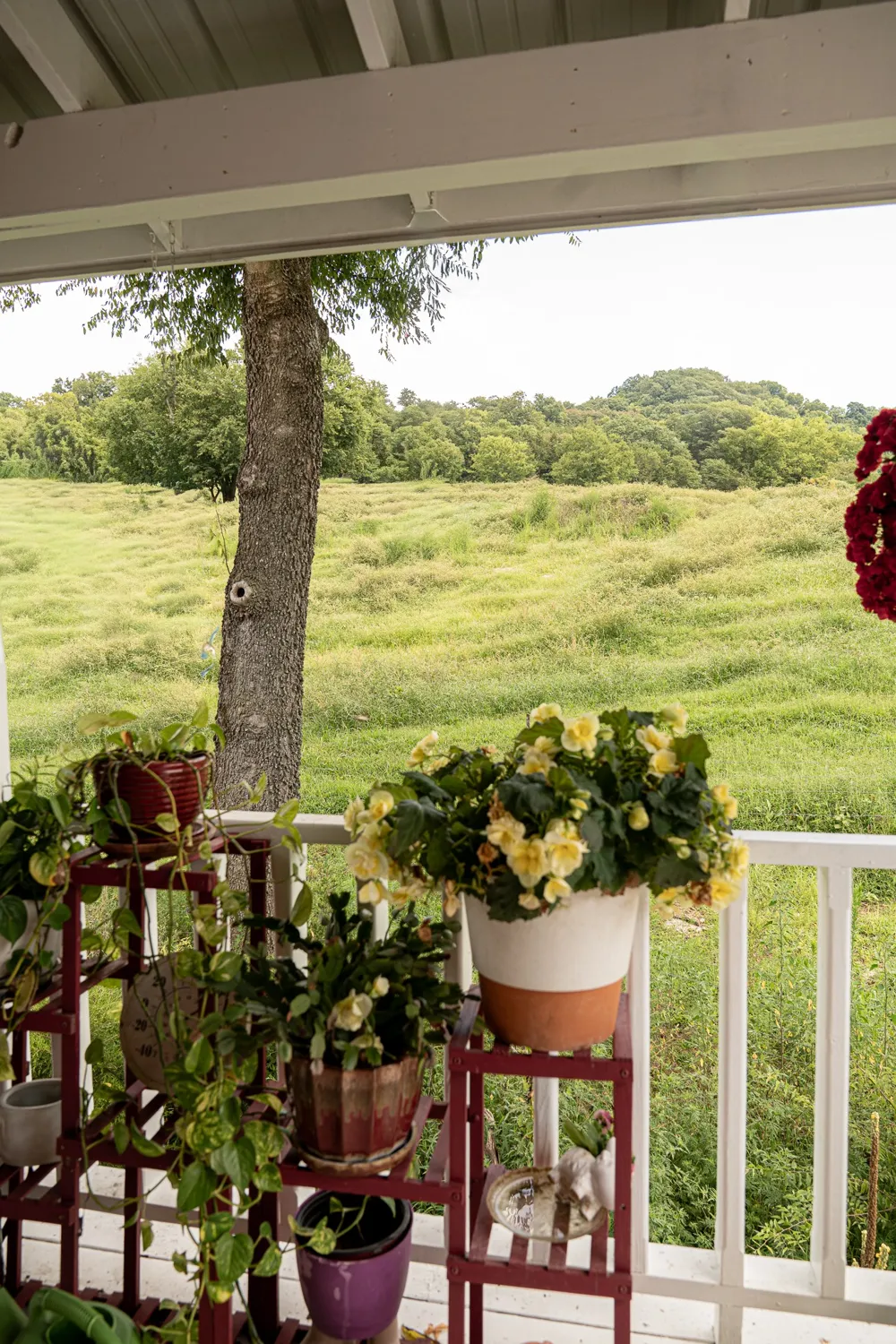 27 Bishop Hollow Ln Pleasant Shade, TN 37145
