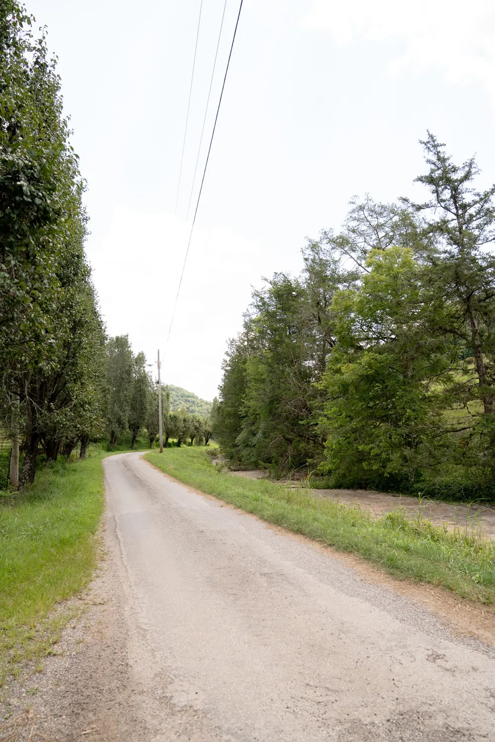 27 Bishop Hollow Ln Pleasant Shade, TN 37145