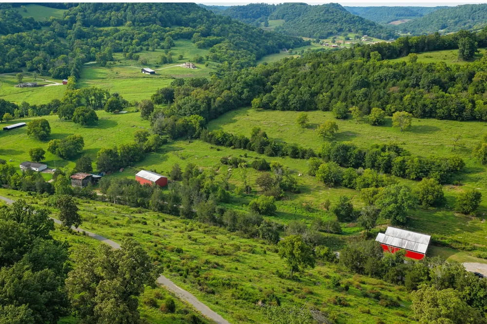 27 Bishop Hollow Ln Pleasant Shade, TN 37145