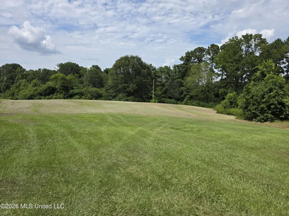 172 Willie Rankin Road Mendenhall, MS 39114