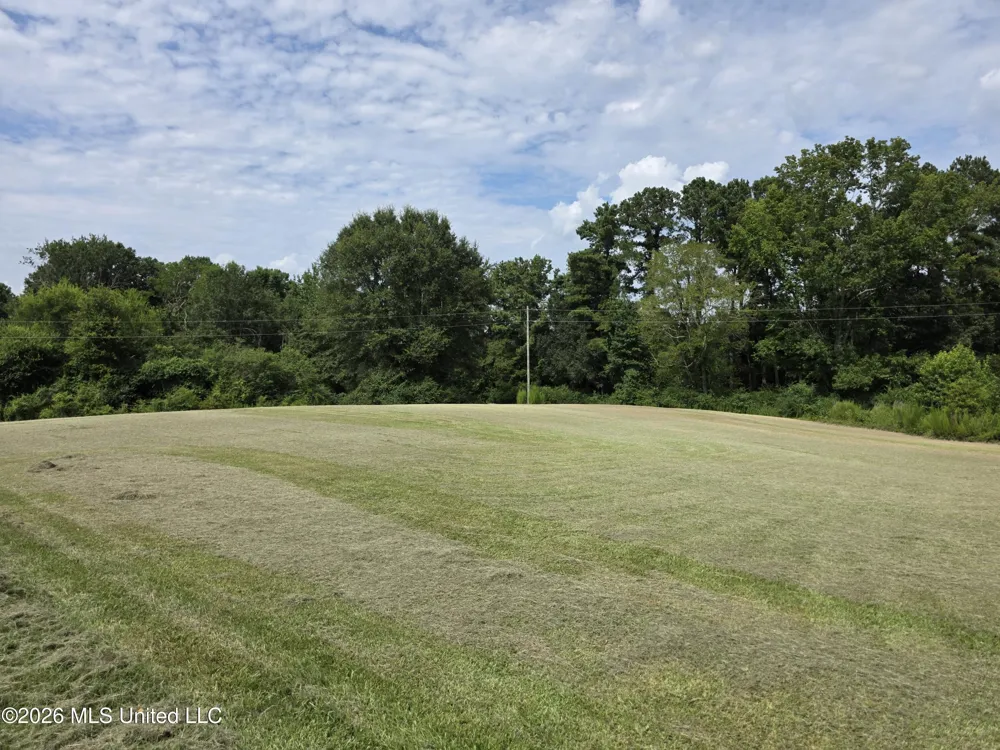 172 Willie Rankin Road Mendenhall, MS 39114