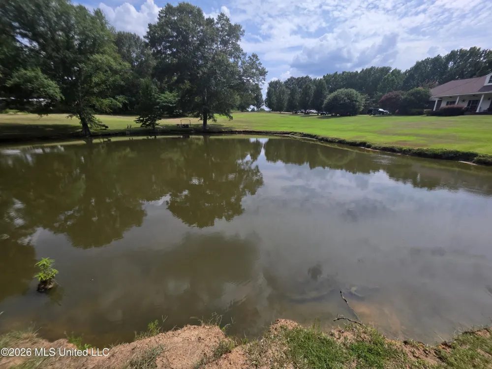 172 Willie Rankin Road Mendenhall, MS 39114