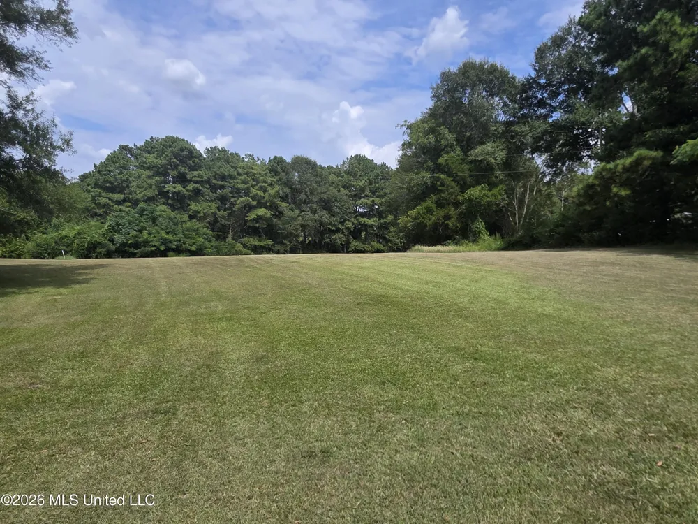 172 Willie Rankin Road Mendenhall, MS 39114