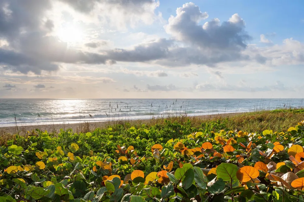 68 YACHT CLUB DRIVE #20 North Palm Beach, FL 33408