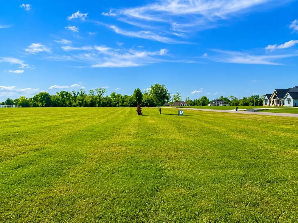 443 Lakeview Drive Angleton, TX 77515