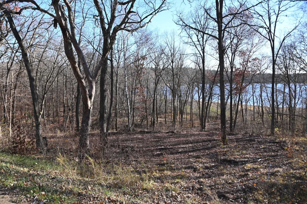 TBD51 Ottawa Drive Browerville, MN 56438