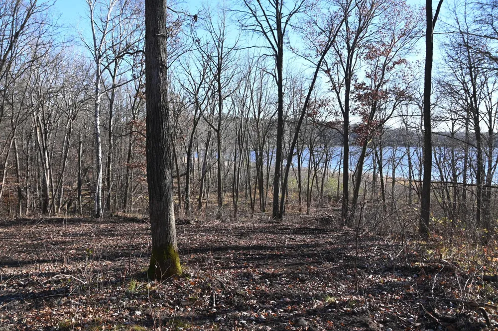 TBD51 Ottawa Drive Browerville, MN 56438