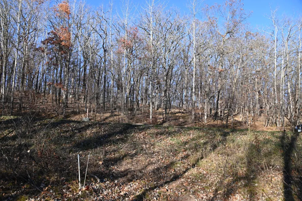 TBD51 Ottawa Drive Browerville, MN 56438