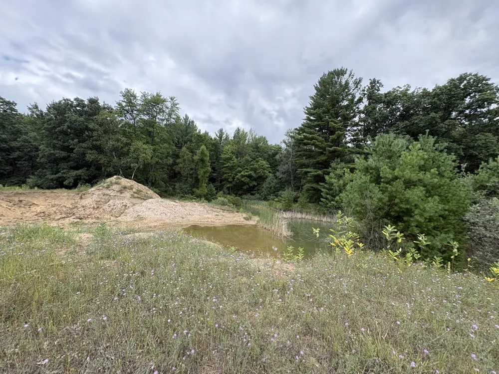 5 Mile Road Morley, MI 49336
