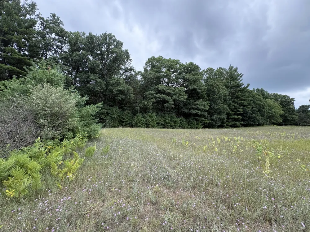 5 Mile Road Morley, MI 49336