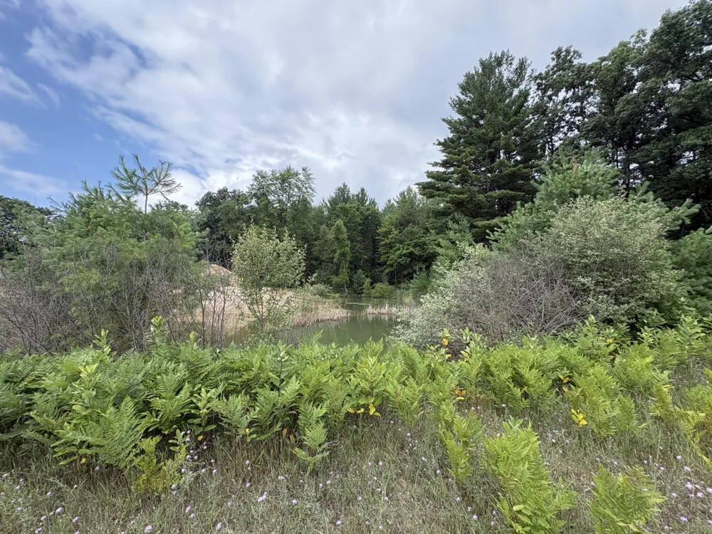 5 Mile Road Morley, MI 49336