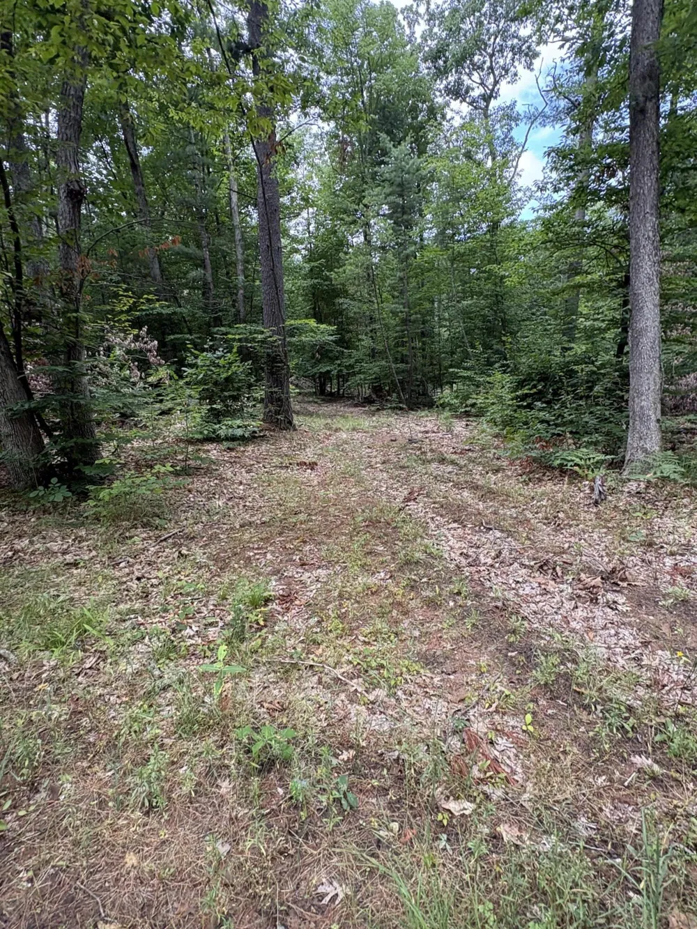 5 Mile Road Morley, MI 49336