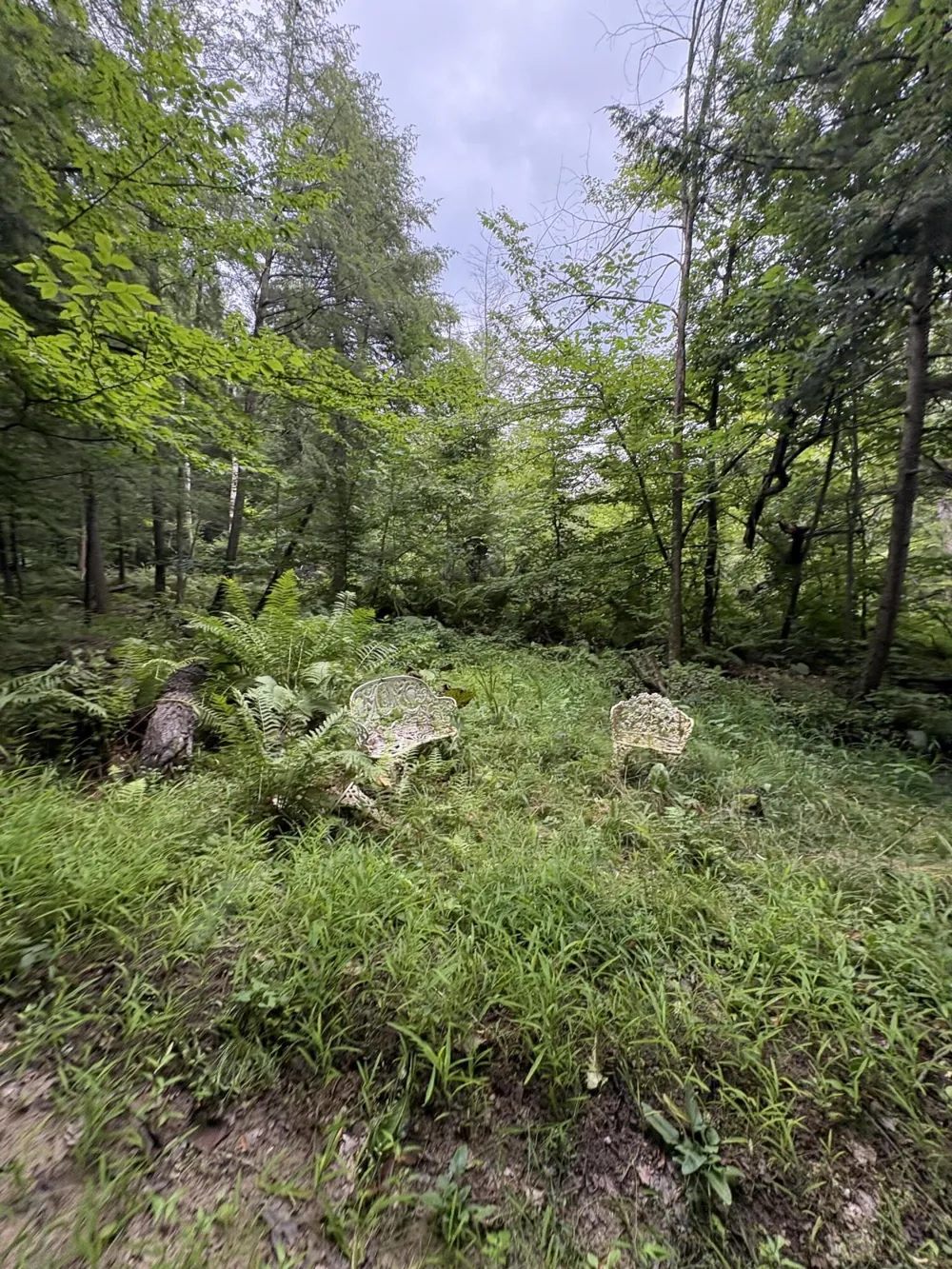5 Mile Road Morley, MI 49336
