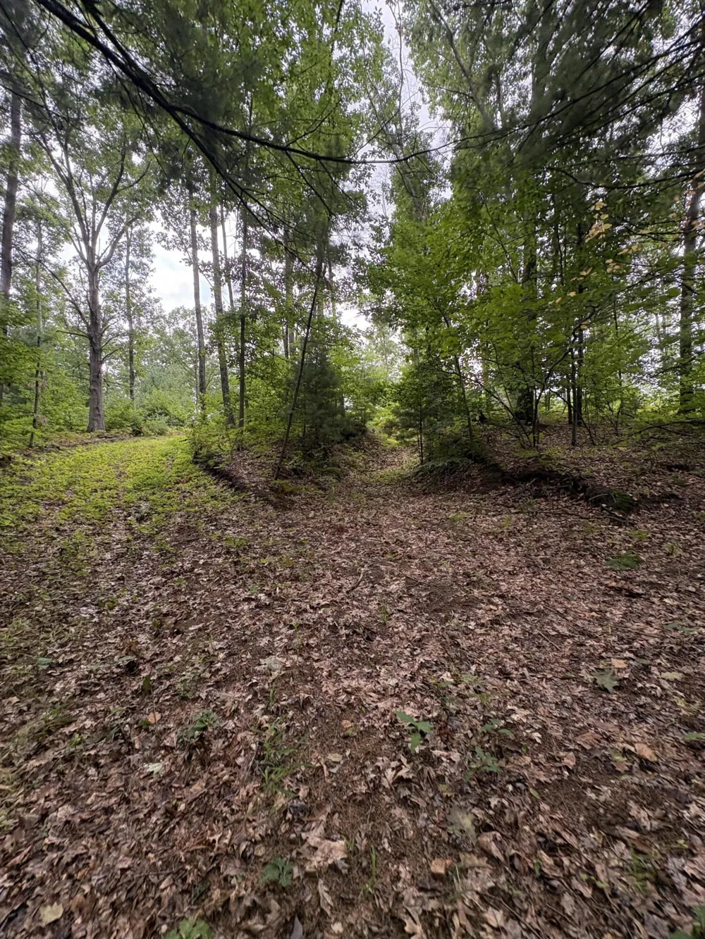 5 Mile Road Morley, MI 49336