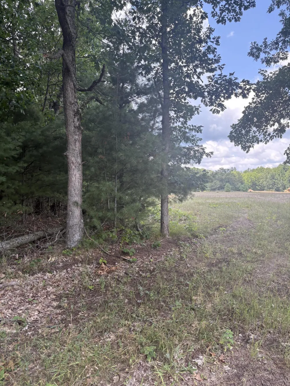 5 Mile Road Morley, MI 49336