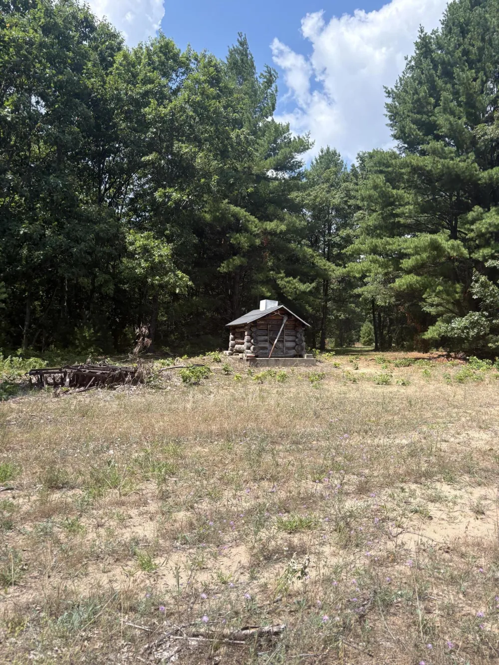 5 Mile Road Morley, MI 49336