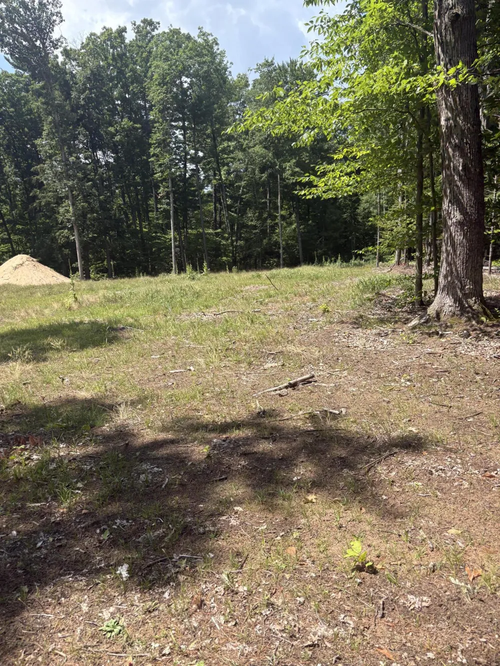 5 Mile Road Morley, MI 49336