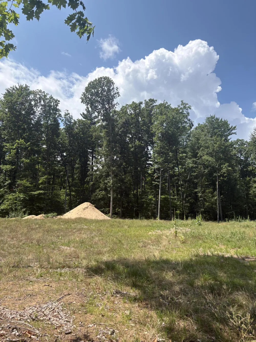 5 Mile Road Morley, MI 49336