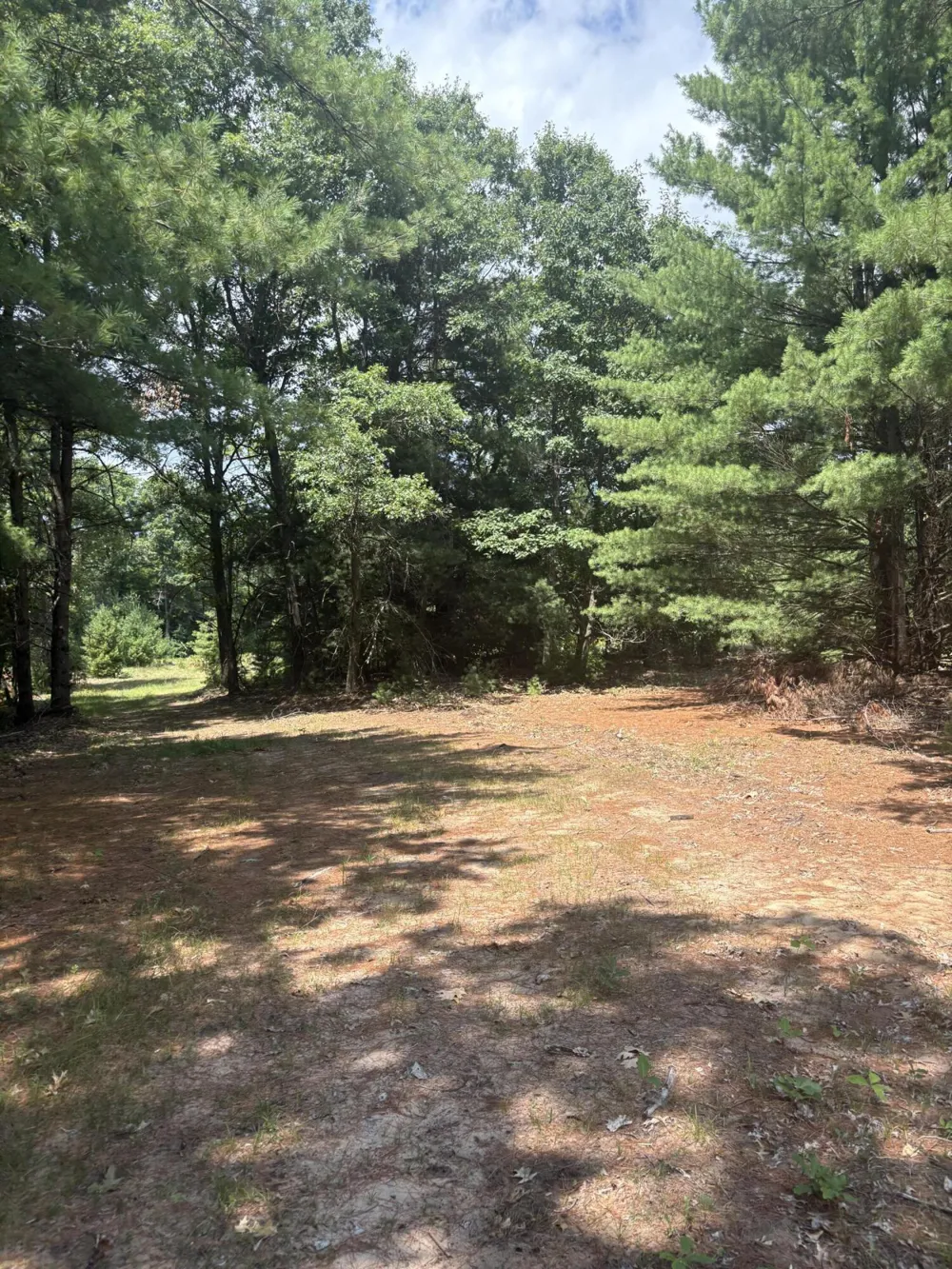 5 Mile Road Morley, MI 49336