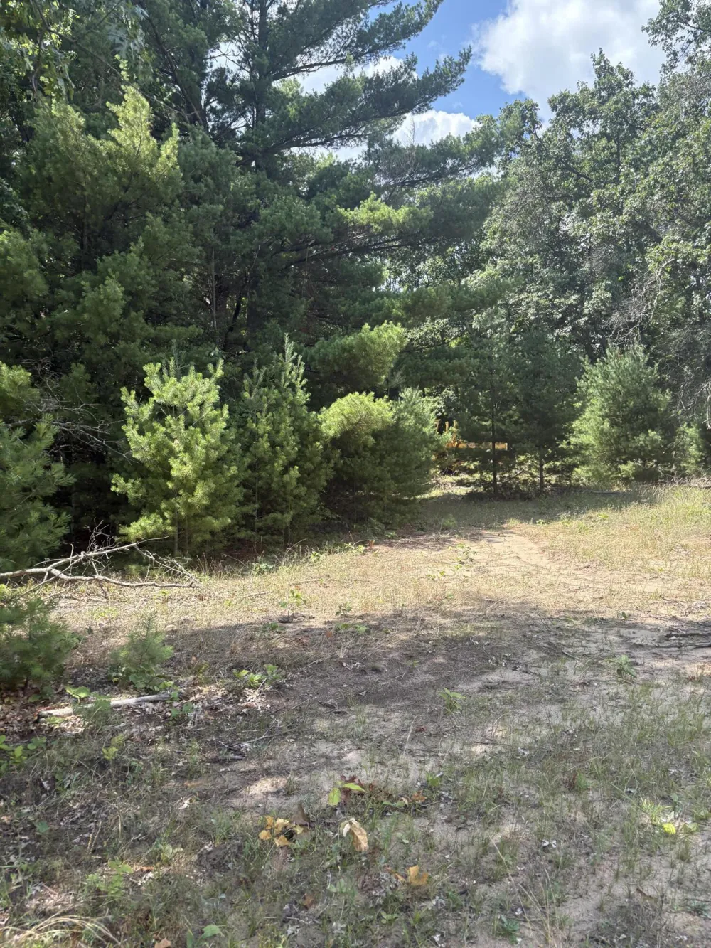 5 Mile Road Morley, MI 49336